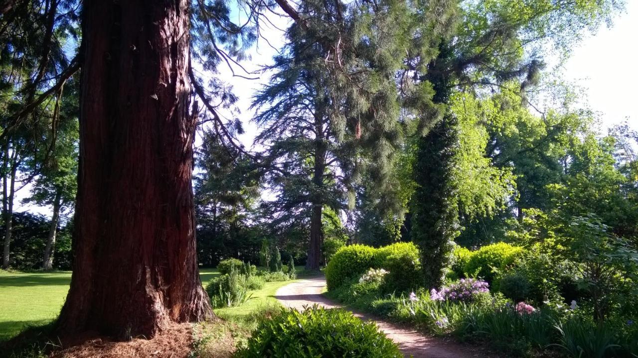 Saint-Rémy-de-Chargnat Chateau De La Vernede, La Grande Vernede المظهر الخارجي الصورة