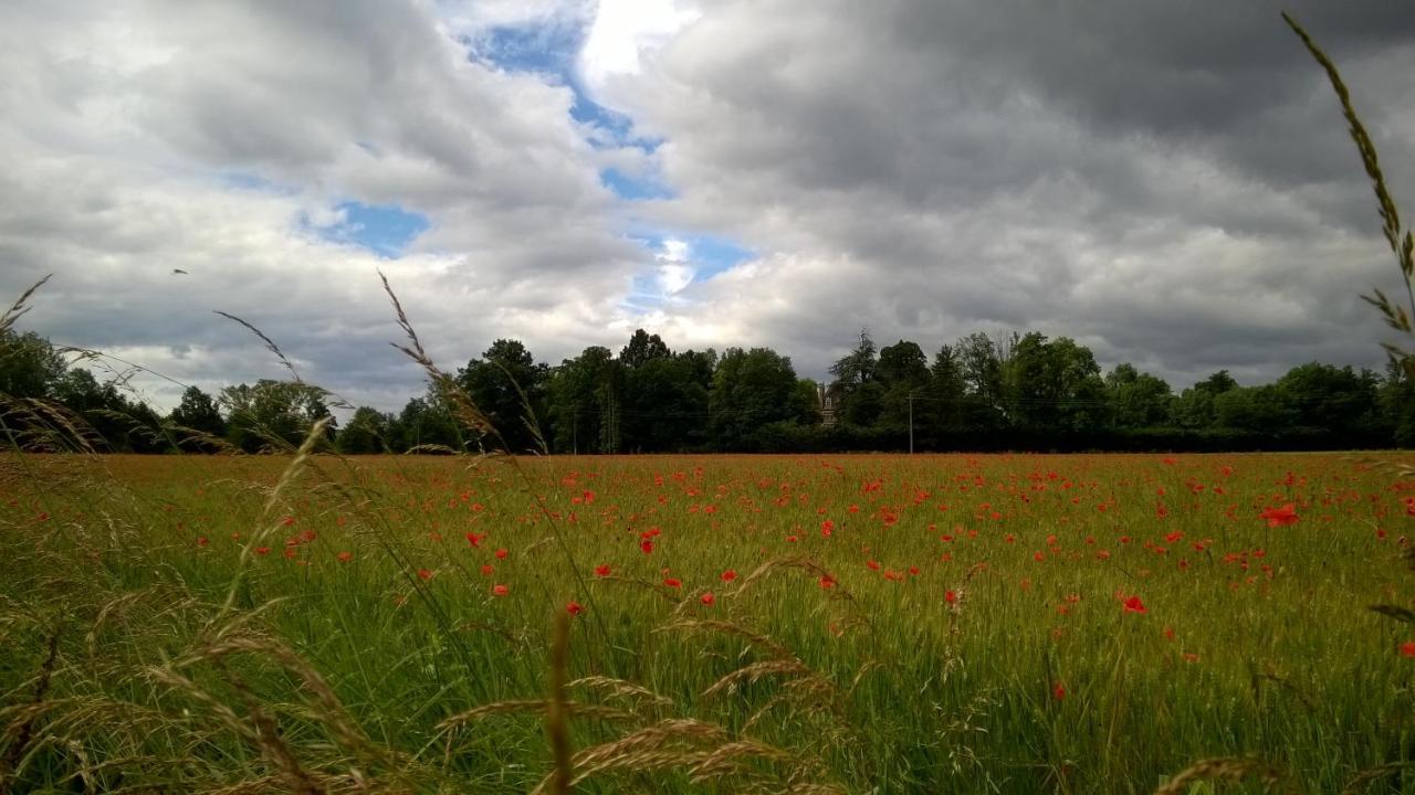 Saint-Rémy-de-Chargnat Chateau De La Vernede, La Grande Vernede المظهر الخارجي الصورة